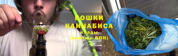 индика Вяземский