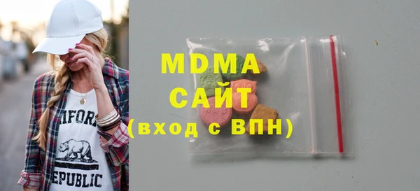 индика Вяземский