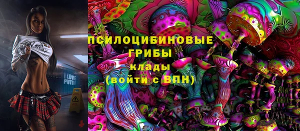 твердый Вязники